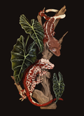 Crested Gecko and Gargoyle Gecko - Correlophus ciliatus / Rhacodactylus auriculatus